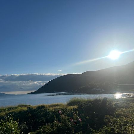 Evenes Artic Glamping Evenesmarkja Exterior foto