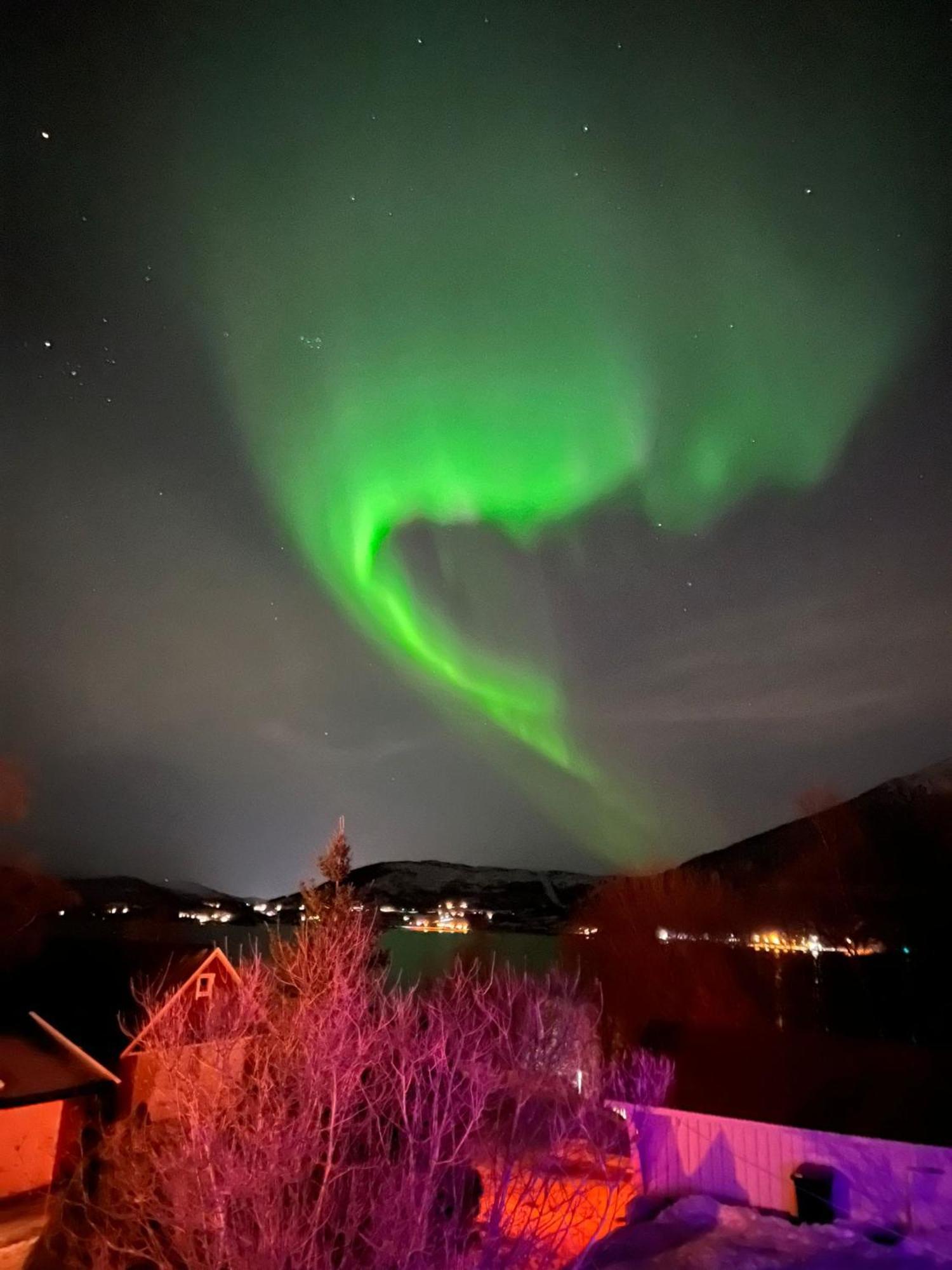 Evenes Artic Glamping Evenesmarkja Exterior foto